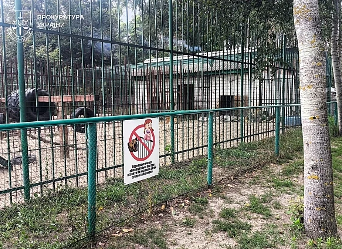 Левиця, яка поранила хлопчика в центрі реабілітації диких тварин на Полтавщині (фото Полтавської обласної прокуратури)